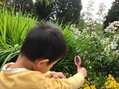 -豆初托育园 Baby Bean Day care Center