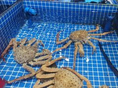-渔港甄宴·海鲜·地标烟台菜(金沙滩店)