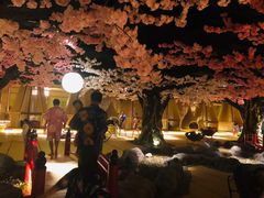 -蓝鲸湾汤泉(包河店)