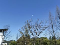 -浙江农林大学(东湖校区)