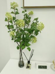 -时光海科学美肤中心