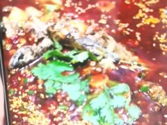 -写庭·鱼鲜川菜·宴请(铁像寺水街店)