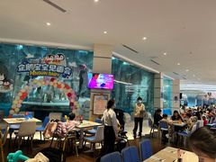 -帝企鹅自助餐厅•儿童岛•真企鹅(长隆企鹅酒店)