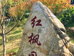 -广州市帽峰山景区