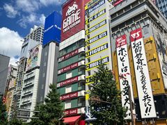 -秋叶原电器街