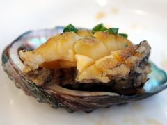 葱油鲍鱼-海岛渔村大酒店(云霄路店)