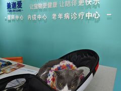 -美迦爱-牙专科·兔科·骨科诊疗中心(北苑店)