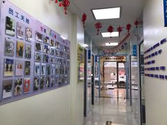 -全心全意连锁动物医院·微创中心·内科急重症·心脏专科(丰管路店)