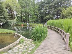 -成都市活水公园