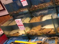 -添福来墨鱼饺子 · 海鲜东北菜(大连星海·黄浦路店)