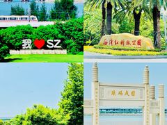 -宝安西湾红树林湿地公园