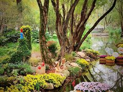 -上海共青森林公园