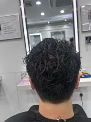 -镁连社·美联社