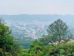 -火炉山森林公园
