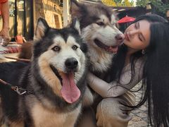 -厦门日月谷温泉渡假村