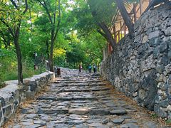 -阳台山自然风景区