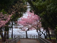 -台场海滨公园船码头