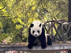 -天津市动物园
