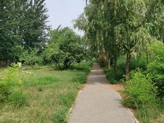 -赵州桥景区
