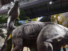 -湖南省地质博物馆