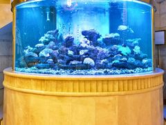 -碧中海汤泉汗蒸酒店