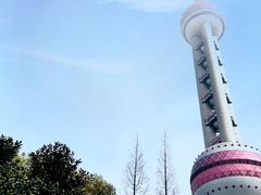 -东方明珠广播电视塔