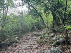 -紫金山山顶公园