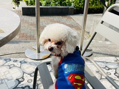 -Chili's Cafe&Bar奇利斯(滨江店)