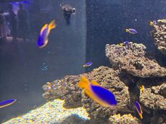 -海合安武汉极地海洋公园
