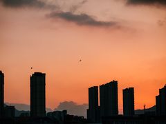 -三垟湿地