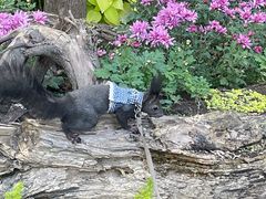 -共青国家森林公园-售票处