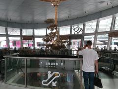 -金光华广场