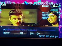 -佰迪乐KTV·大屏K歌(公园店)