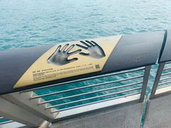 -星光大道