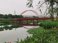 -那考河湿地公园