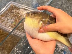 -大潮淮·淮扬菜(何园旗舰店)