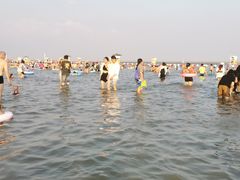 -碧海金沙