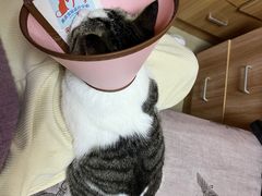 -美美宠物诊疗中心·异宠·骨科(滨江东信分院)