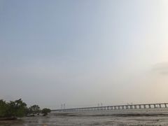 -宝安西湾红树林湿地公园