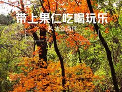 -北京鹫峰国家森林公园
