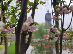 -西海子公园