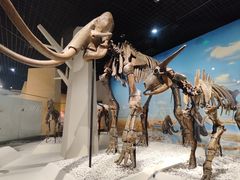 -国家自然博物馆