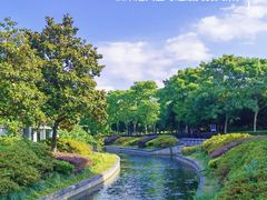 -蠡湖中央公园
