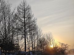 -雾凇岛
