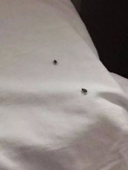 -美德因妇儿医院