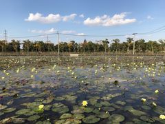 -上海长兴岛郊野公园