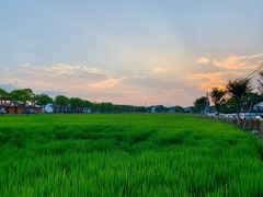 -动邦皮划艇·桨板·独木舟·团建户外运动俱乐部