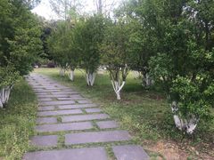 -成都南湖公园