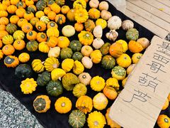 -辛庄国际文化艺术区