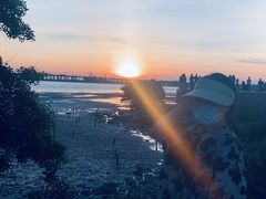 -宝安西湾红树林湿地公园